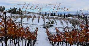 Planning a visit for the holidays?