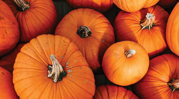 Pumpkins & Pours! 🎃