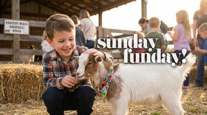 SUNDAY FUNDAY