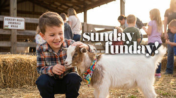 SUNDAY FUNDAY