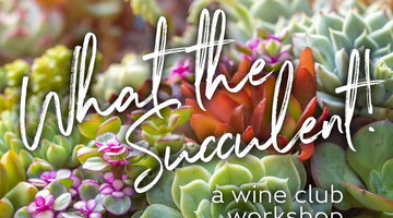 What the Succulent! at Miramonte