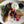 Load image into Gallery viewer, Member's Brunch &amp; Social
