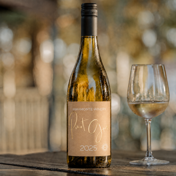 2025 Pinot Gris - NEW RELEASE!